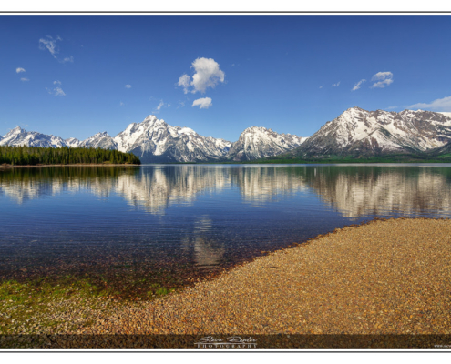 Grand Teton Beauty