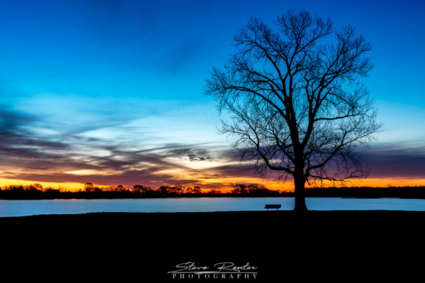 Blue Hour Bench