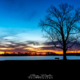 Blue Hour Bench