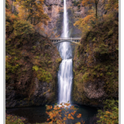 Multnomah in Autumn