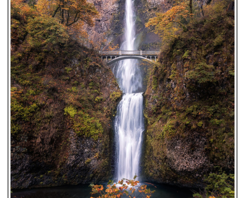 Multnomah in Autumn